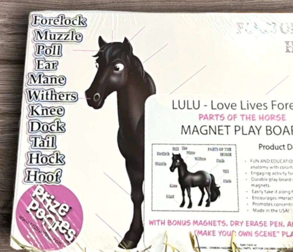Lulu- Love Lives Forever Magnet Play Board