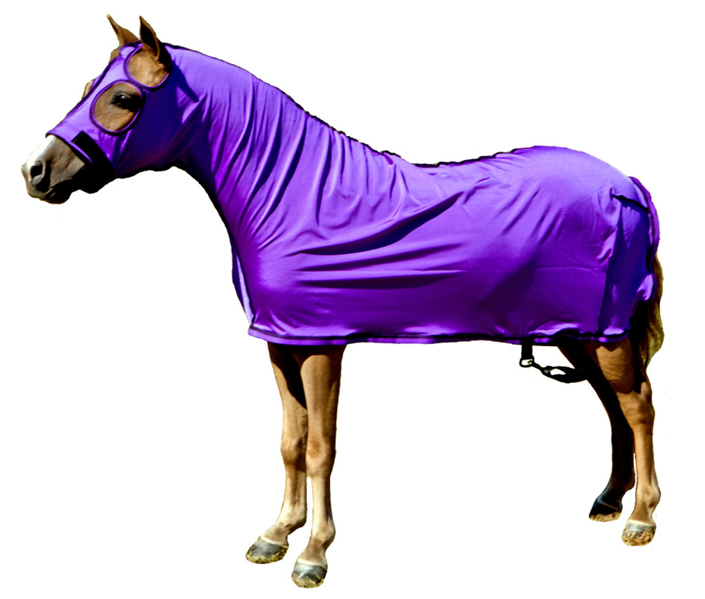Sleazy Sleepwear XS Mini Horse Full Body Sheet, 13 Colors