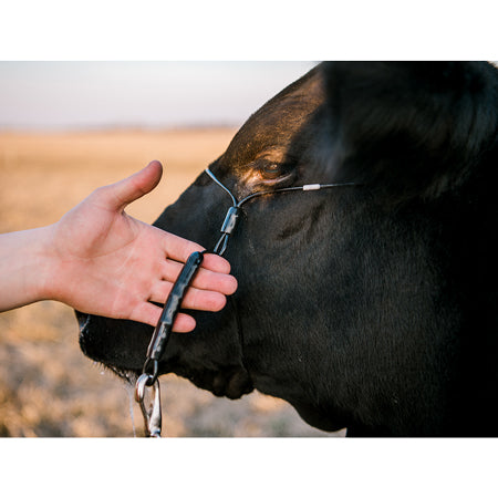 Phantom Cattle Black Cable Halter w/ Ghost Grip