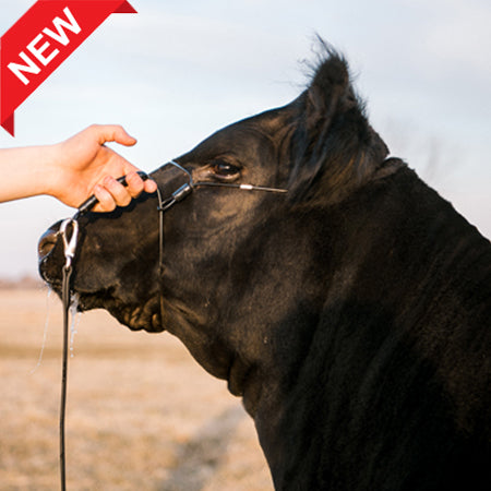 Phantom Cattle Black Cable Halter w/ Ghost Grip