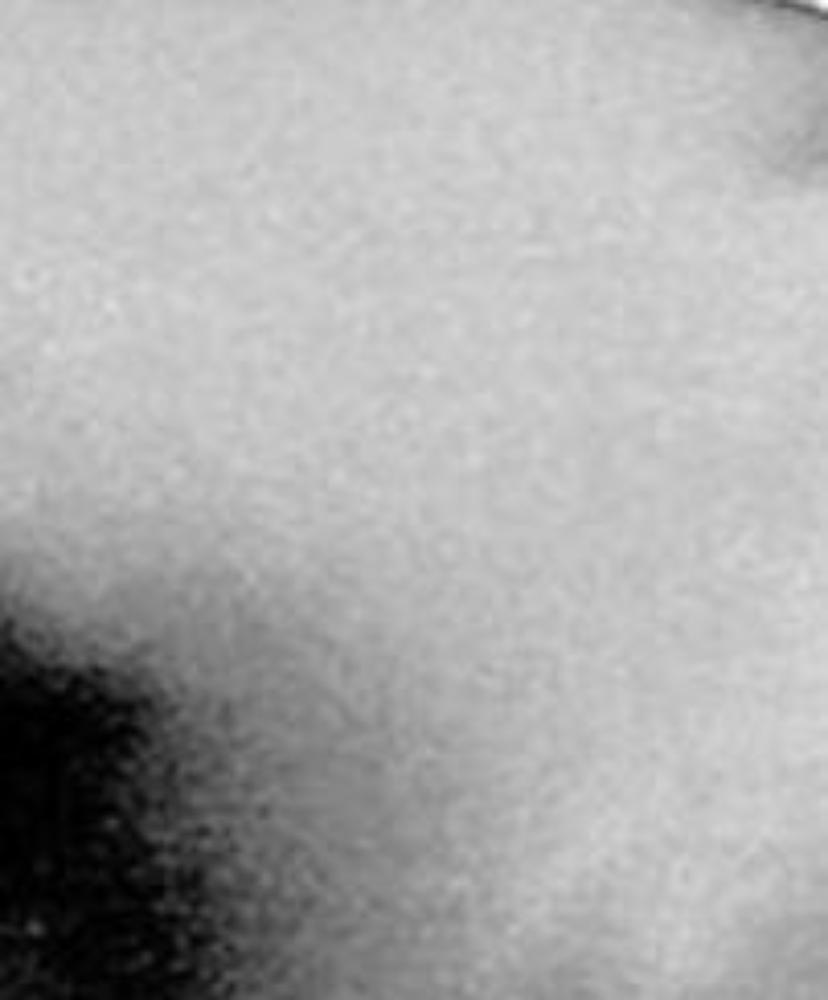 Sleazy Sleepwear Small Mini Horse Sheet, 13 Colors