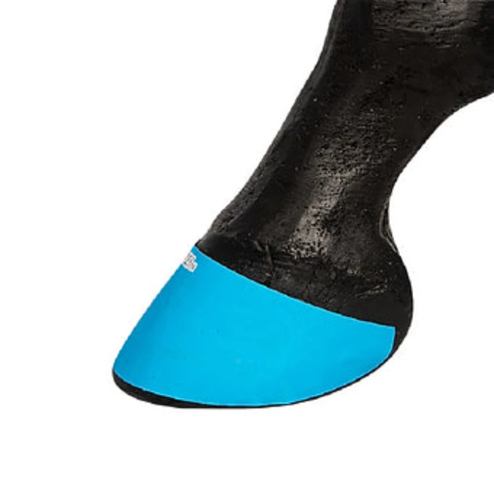 Set of 4 Neon Color Hoofies, Color choice