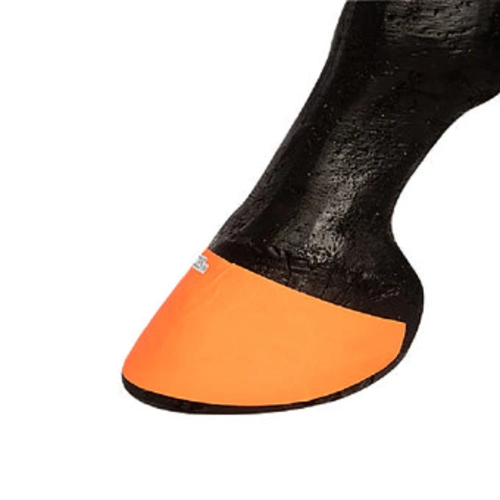 Set of 4 Neon Color Hoofies, Color choice