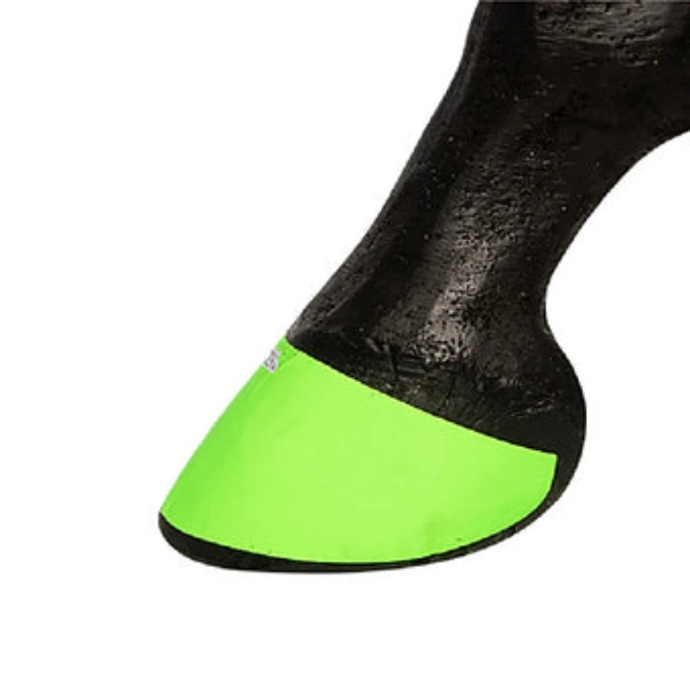 Set of 4 Neon Color Hoofies, Color choice