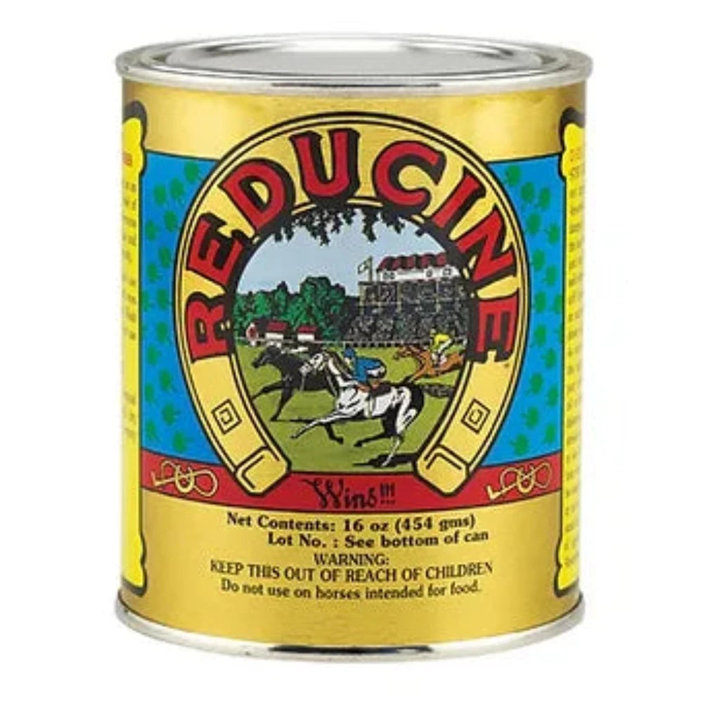 Reducine Absorbent for Horses 16 oz.
