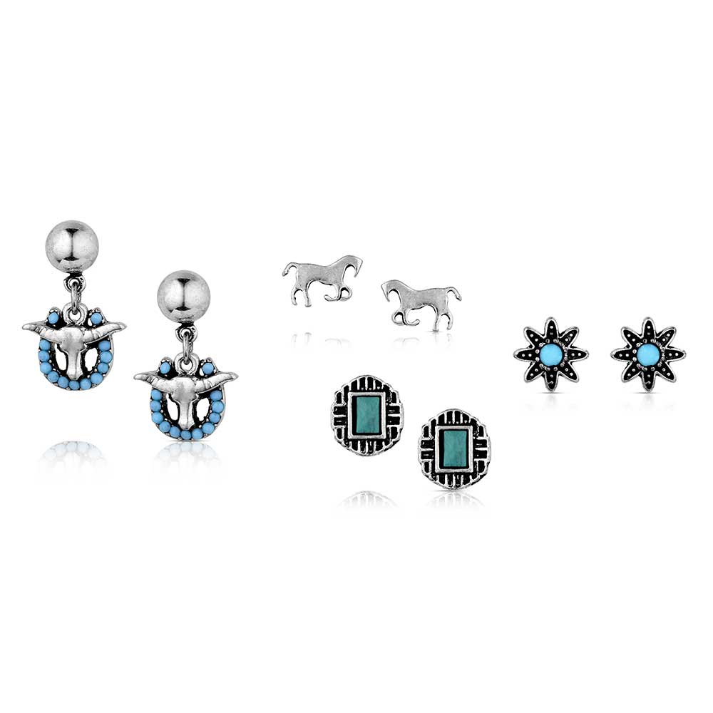 Montana Siversmiths Attitude Everyday Western Post Earring Set