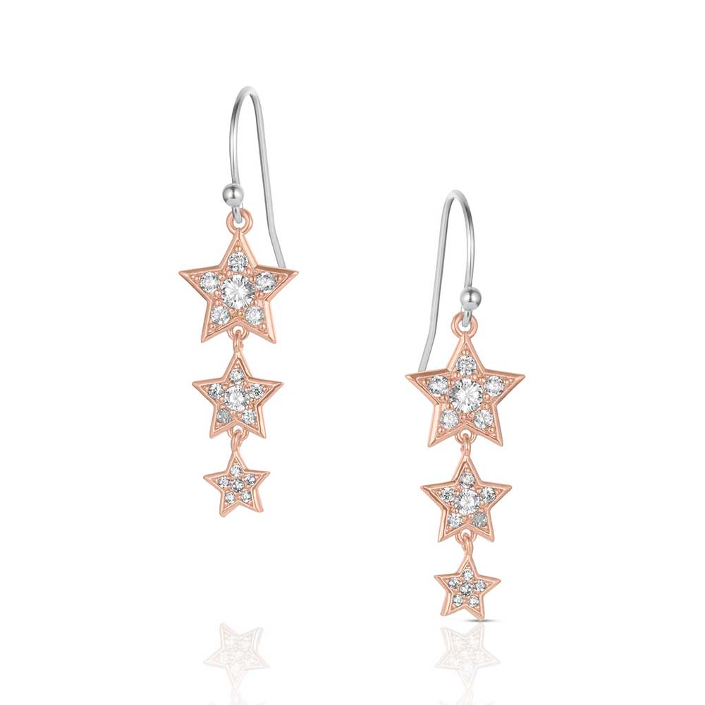 Montana Silversmith Trio of Wishes Earrings