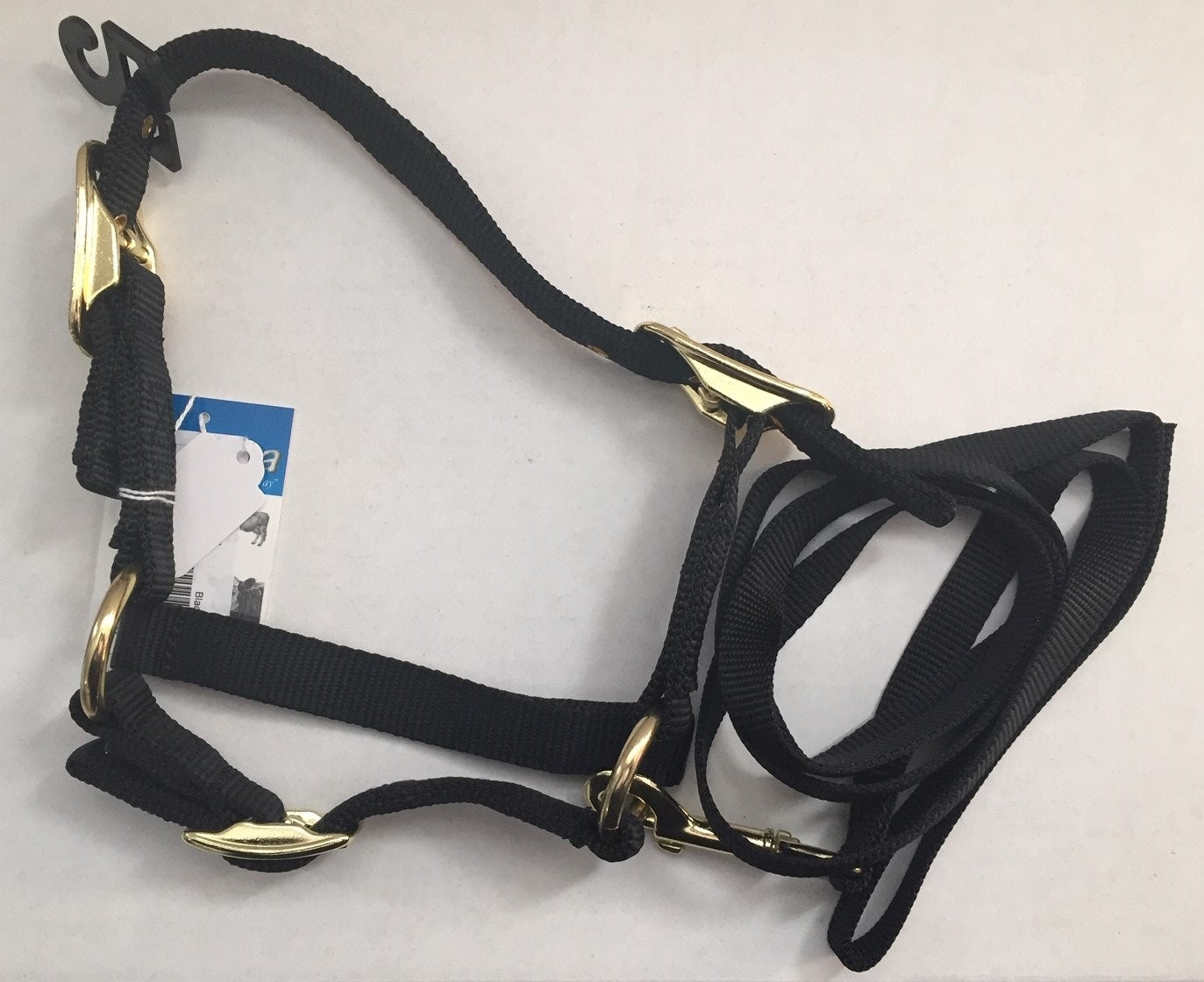 Sheep Halter w/ Adjustable Chin Strap & Lead