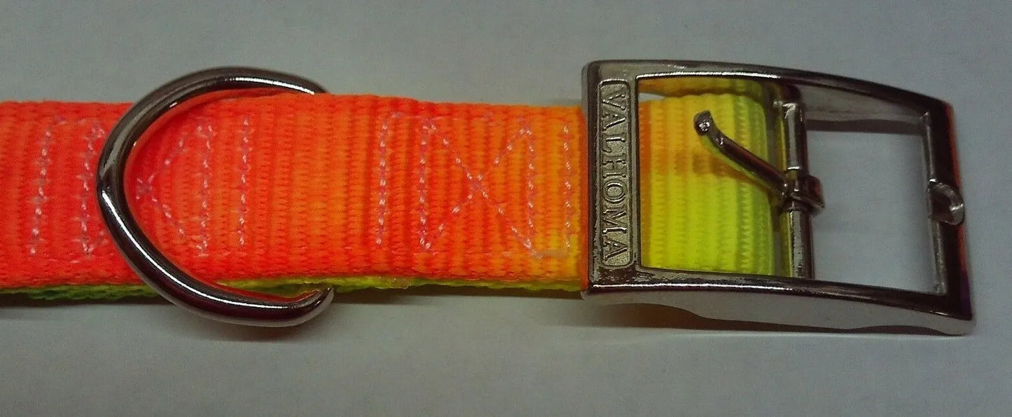 Valhoma Rainbow Nylon Dog Collar