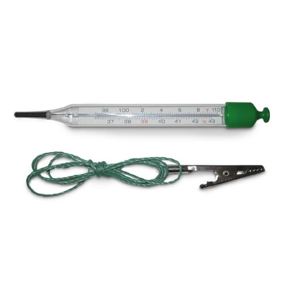 Mercury-Free Thermometer