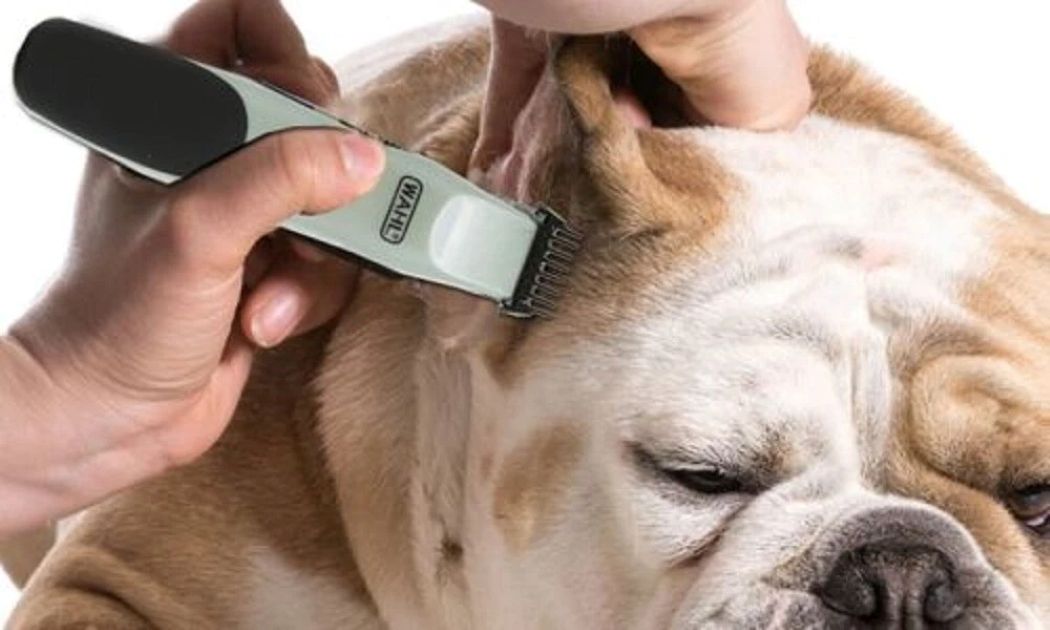 WAHL TOUCH UP PET TRIMMER KIT
