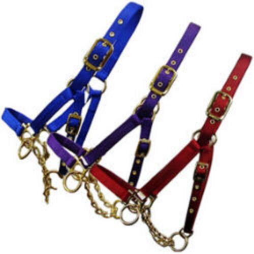 Valhoma Control Yearling Cow Control Halter