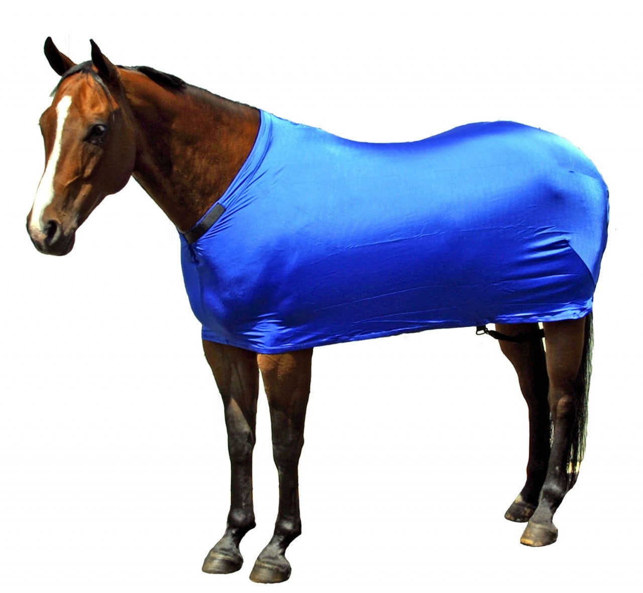 Sleazy Sleepwear Small Mini Horse Sheet, 13 Colors