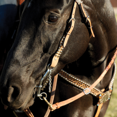 Carol Goostree CG Shank Barrel Bit with Thick Bar Chain