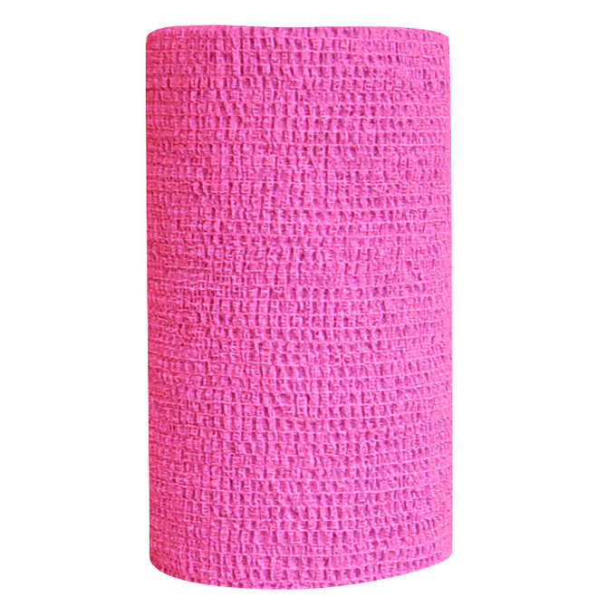 Co-Flex Bandage Wrap