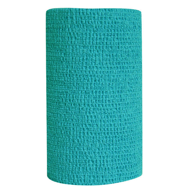 Co-Flex Bandage Wrap