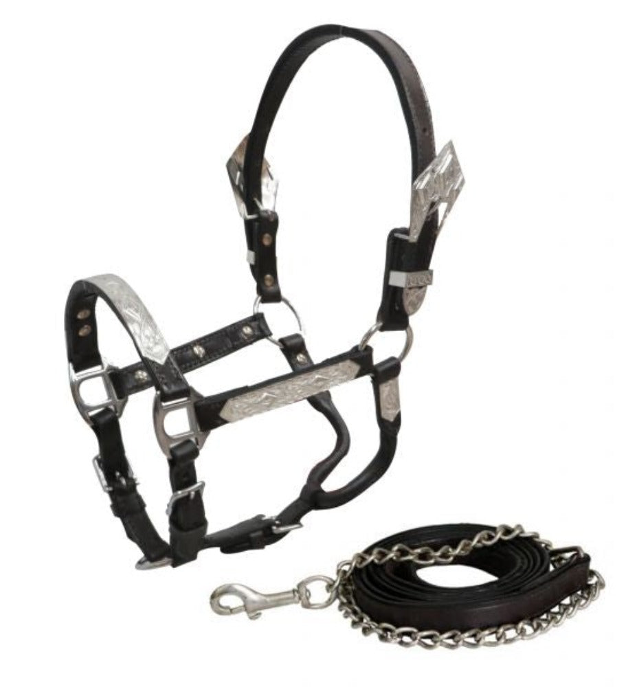 Mini Dark Leather Show Halter w/ Lead