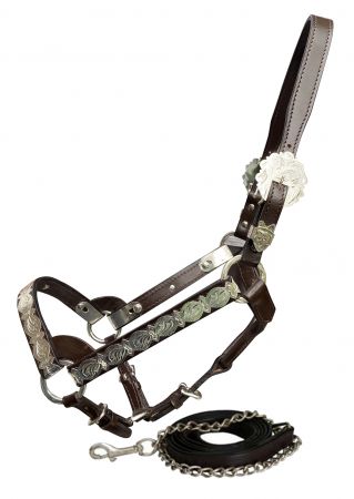 Average horse size Dark leather SHOW HALTER w/ 6' Lead