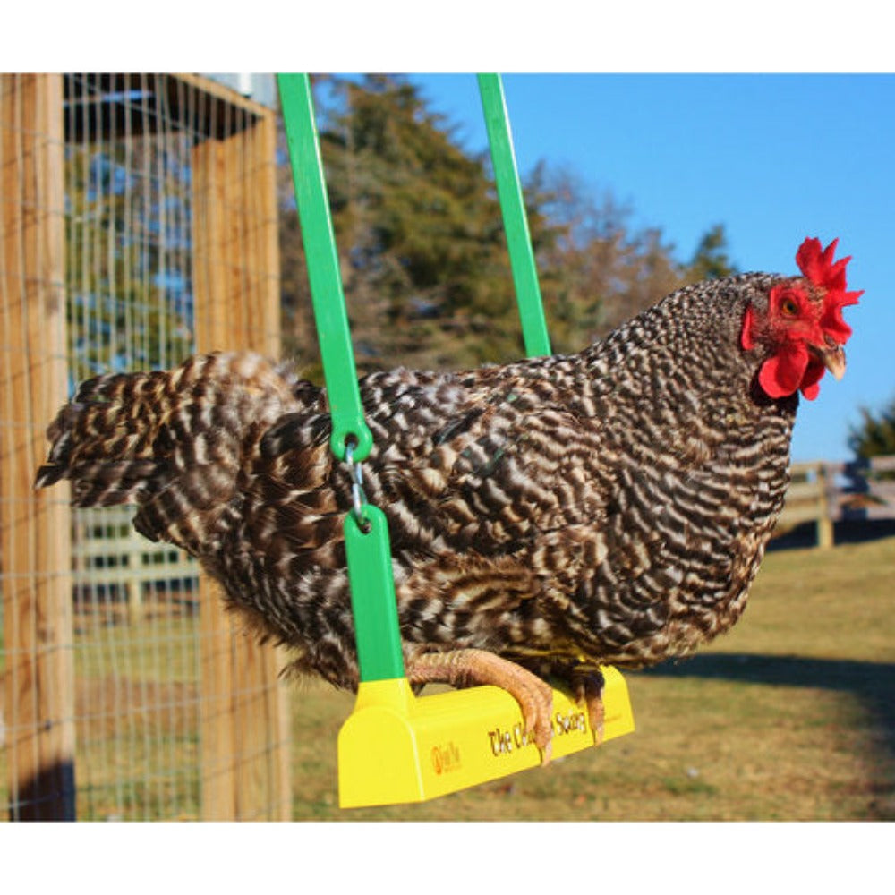The Chicken Swing