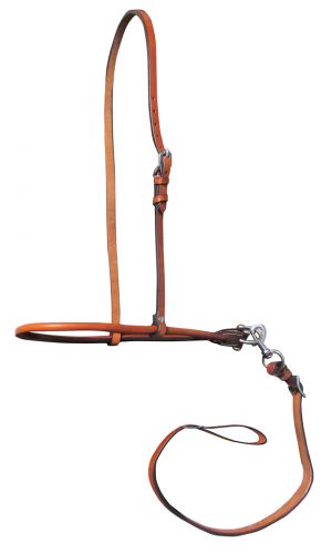 Argentina Leather Smooth Leather Noseband And Tie Down