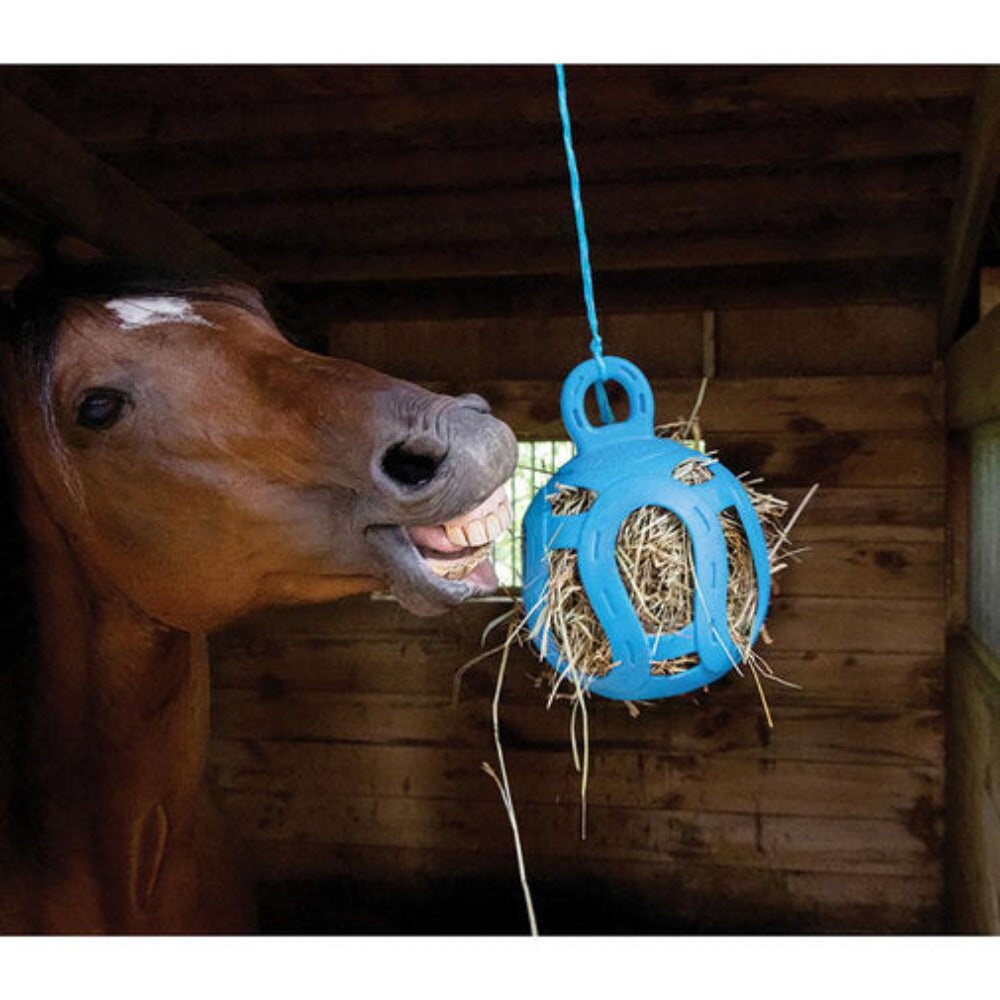 Jolly Hay Ball Horse Toy Treat Holder