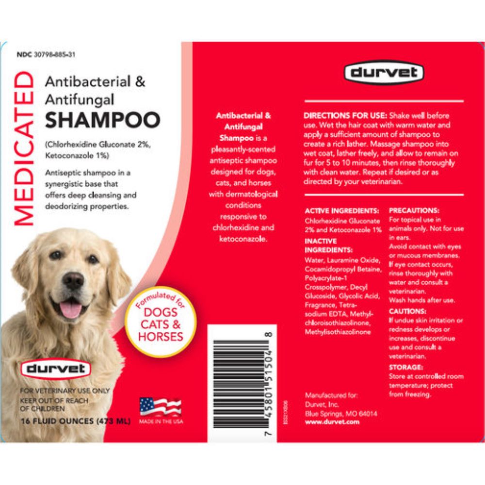 Medicated Antibacterial & Antifungal Shampoo 16 oz.
