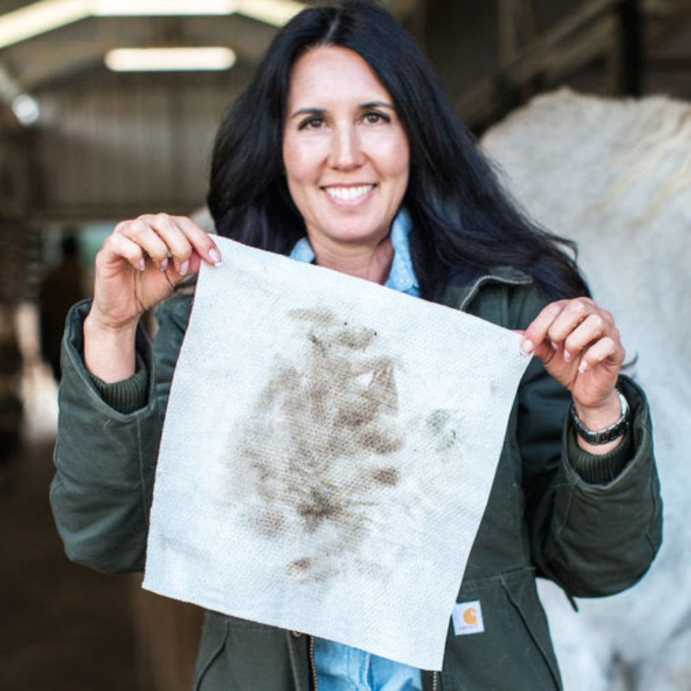 Horse & Dog Grooming Cloth Wipes, 2 Sizes