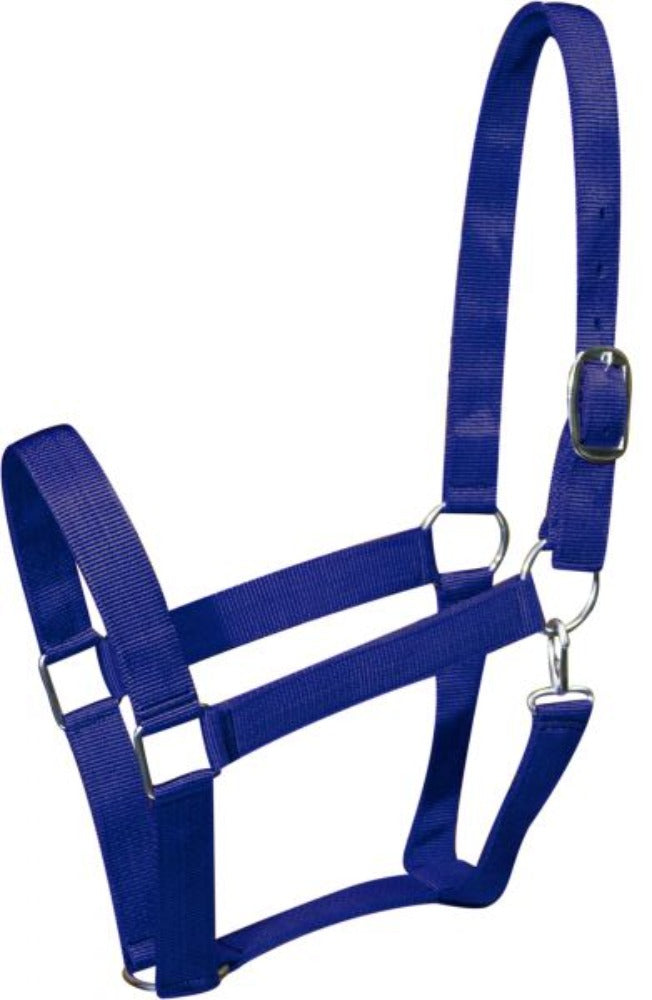 DRAFT Size Horse Double Ply Nylon Halter