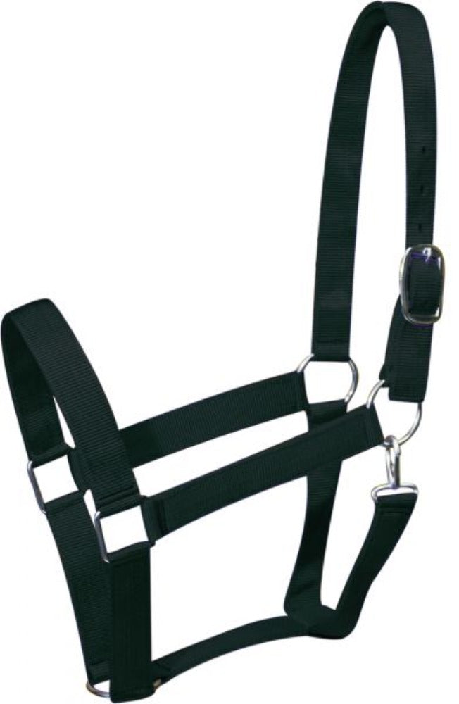DRAFT Size Horse Double Ply Nylon Halter