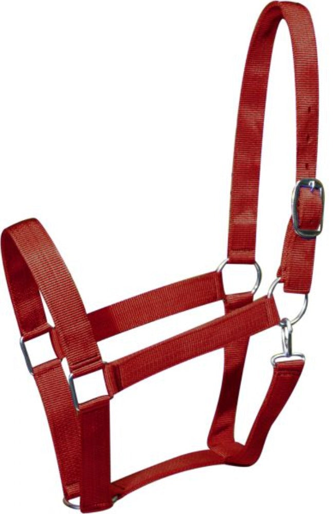 DRAFT Size Horse Double Ply Nylon Halter