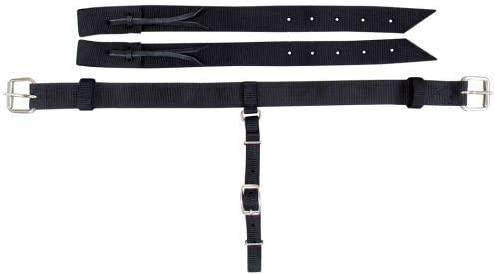 Pony 1.5" Wide Nylon Back Cinch w/ Roller Buckles