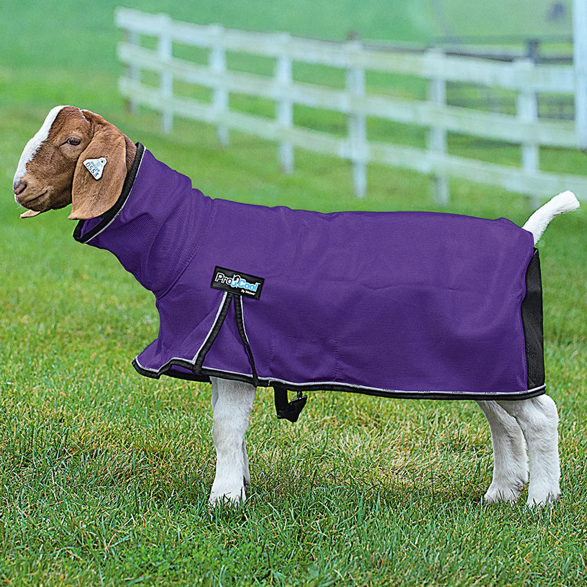 Weaver ProCool Mesh Goat Blanket