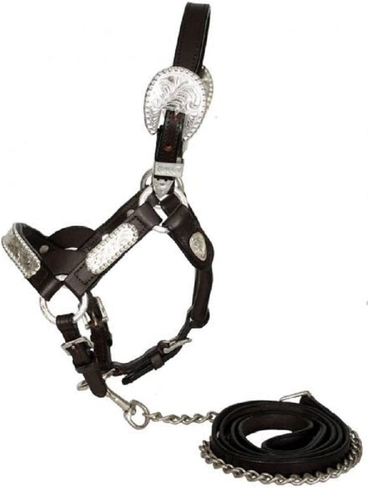 Leather Mini Miniature Horse Silver Show Halter
