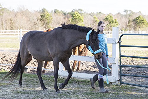 4-Piece Fleece Halter Tube Set