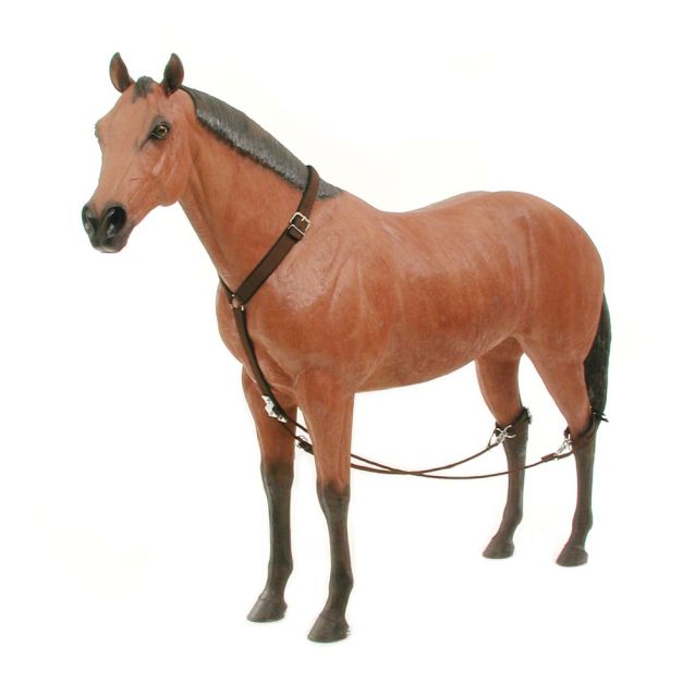 Tough-1 Horse size NYLON BREEDING HOBBLES