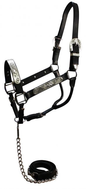 Horse Leather Silver Show Halter w/ chain lead