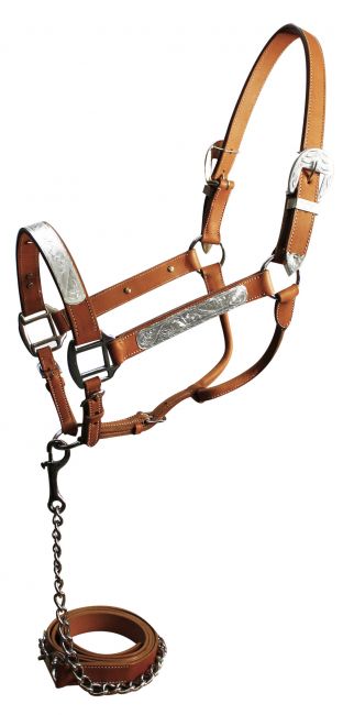 Horse Leather Silver Show Halter w/ chain lead