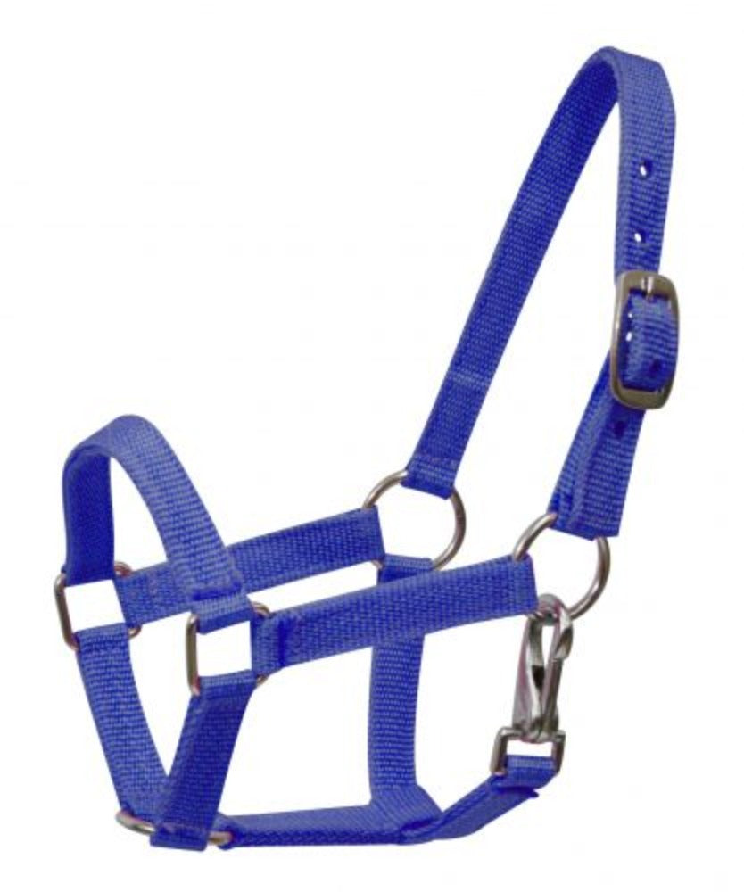 Miniature Mini horse NYLON HALTER