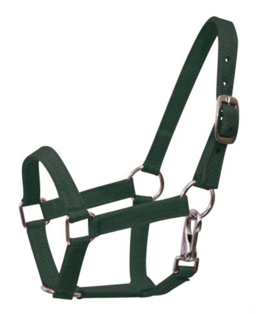 Miniature Mini horse NYLON HALTER