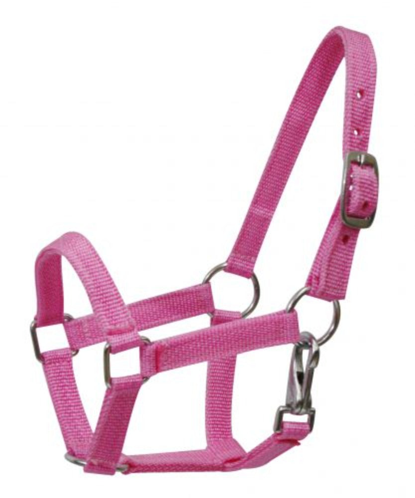 Miniature Mini horse NYLON HALTER