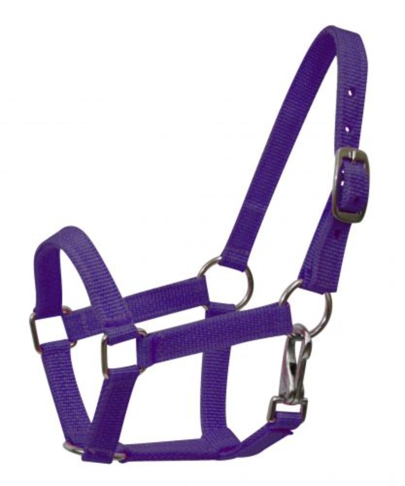Miniature Mini horse NYLON HALTER