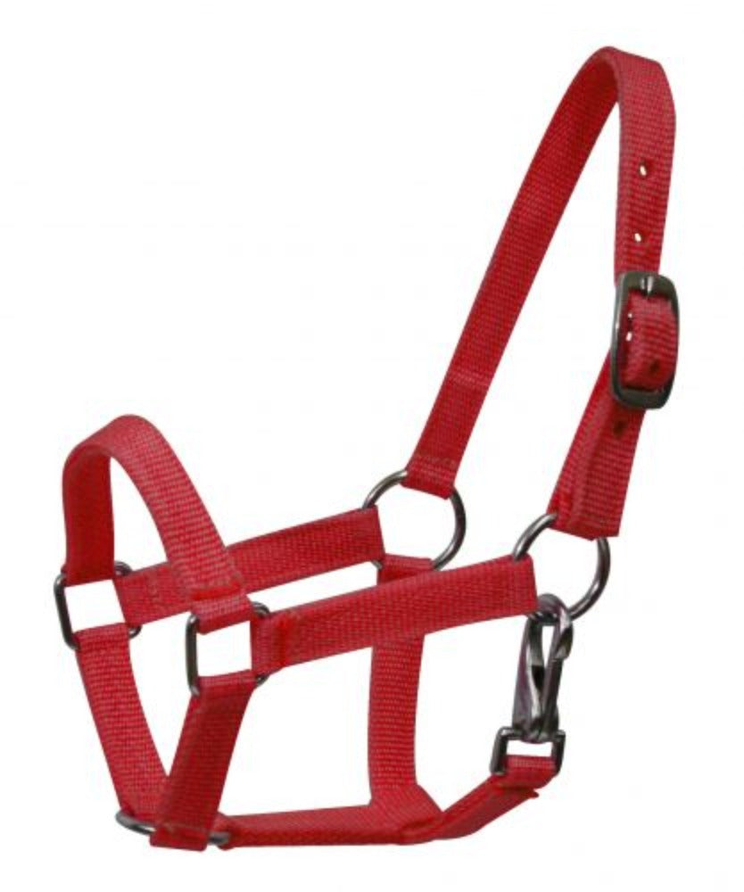 Miniature Mini horse NYLON HALTER
