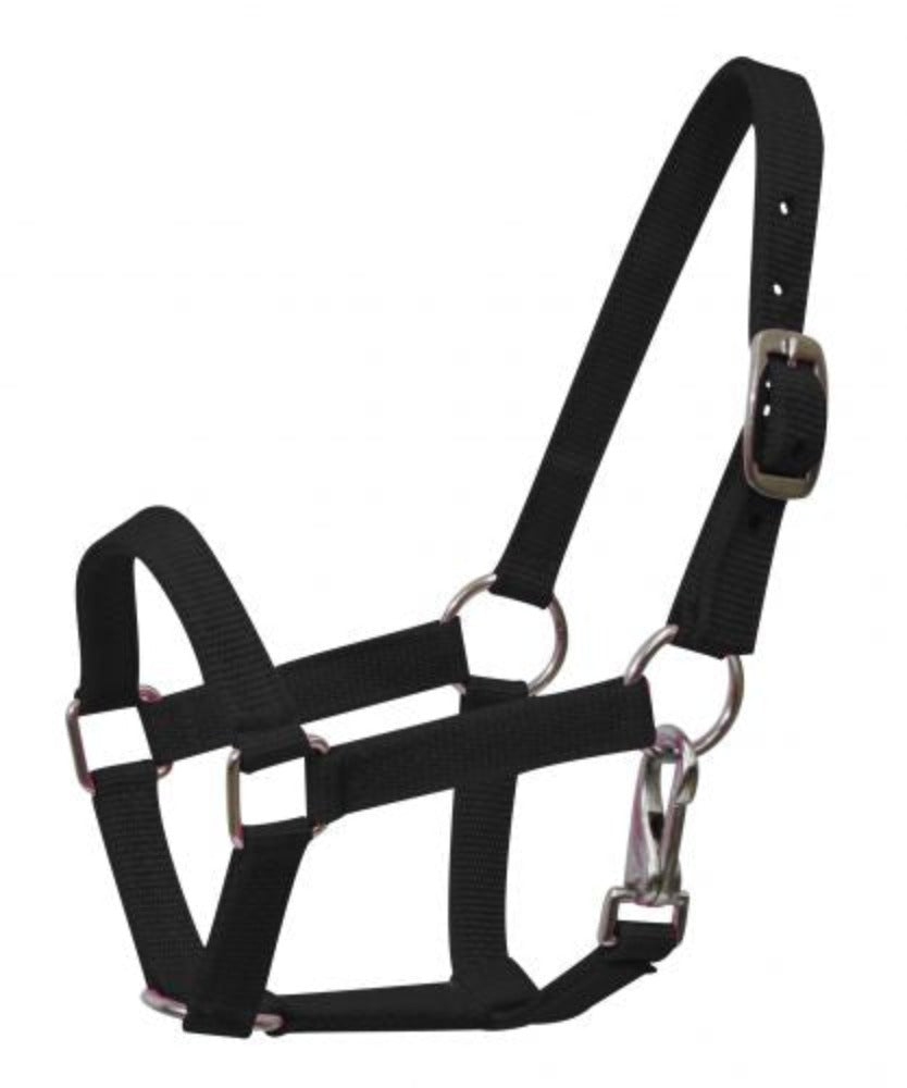 Miniature Mini horse NYLON HALTER