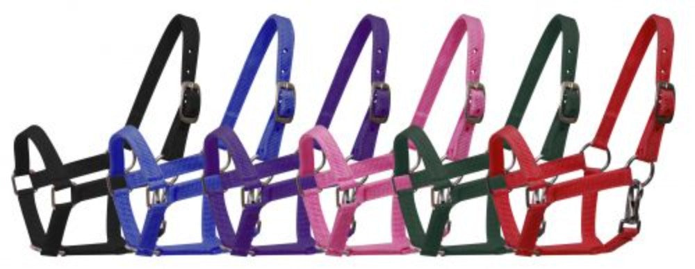 Miniature Mini horse NYLON HALTER