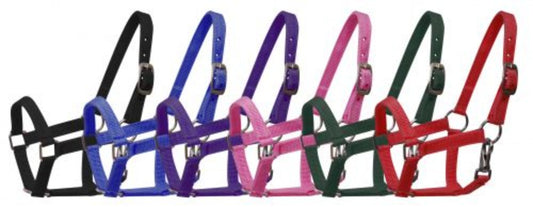 Miniature Mini horse NYLON HALTER