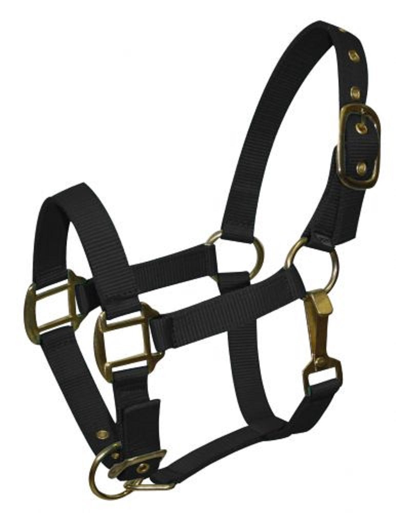 Pony Triple Ply Nylon Halter