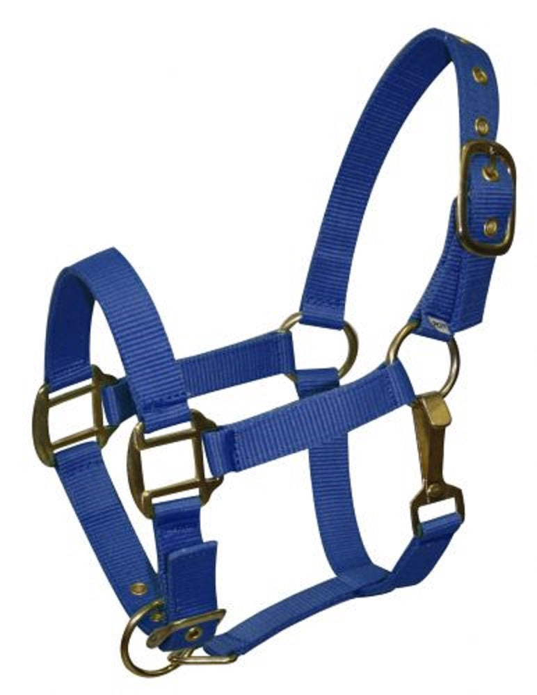 Pony Triple Ply Nylon Halter