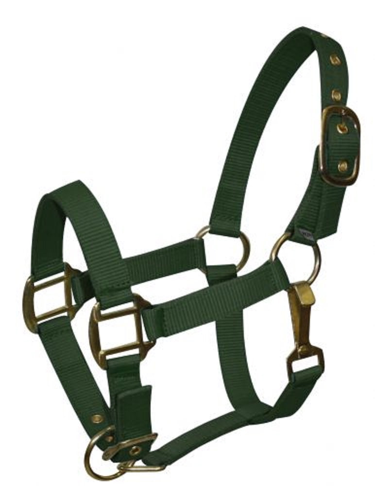 Pony Triple Ply Nylon Halter