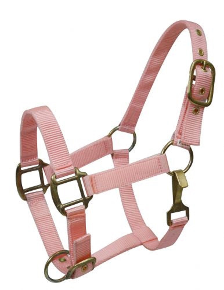 Pony Triple Ply Nylon Halter