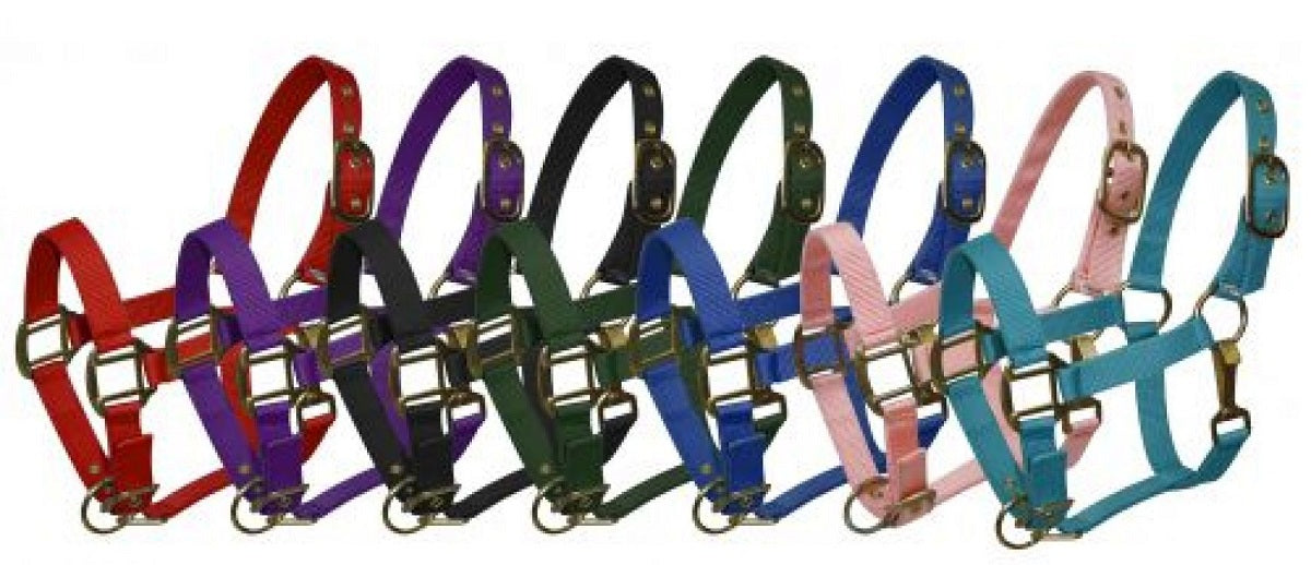 Pony Triple Ply Nylon Halter